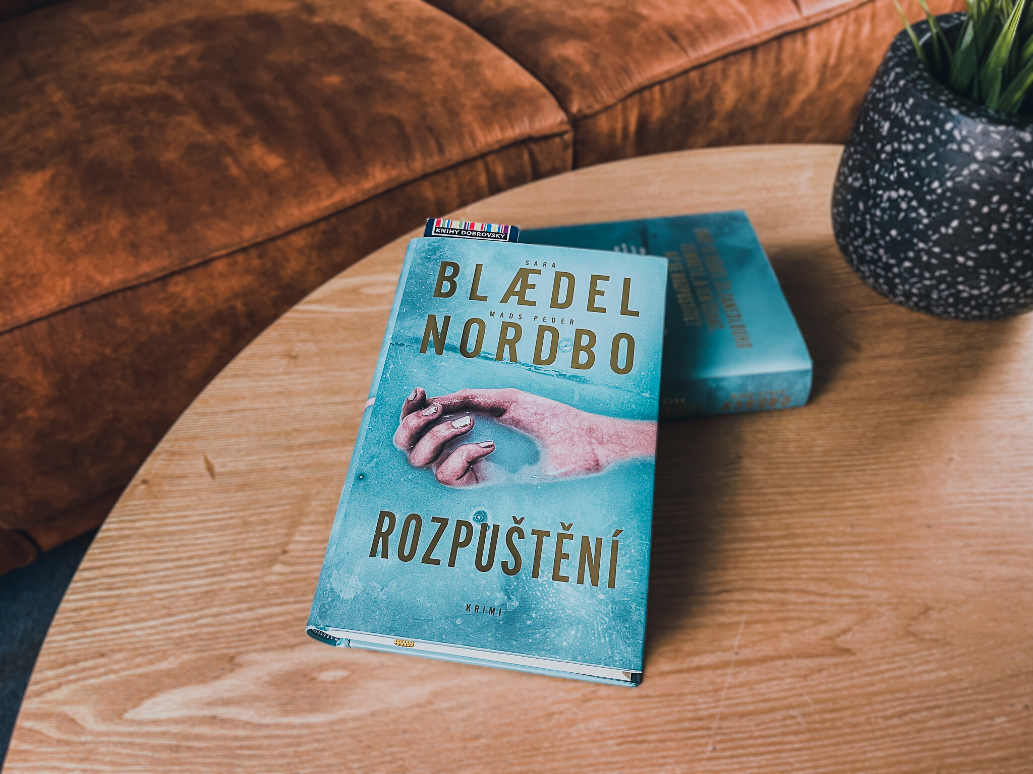 Rozpuštění-recenze