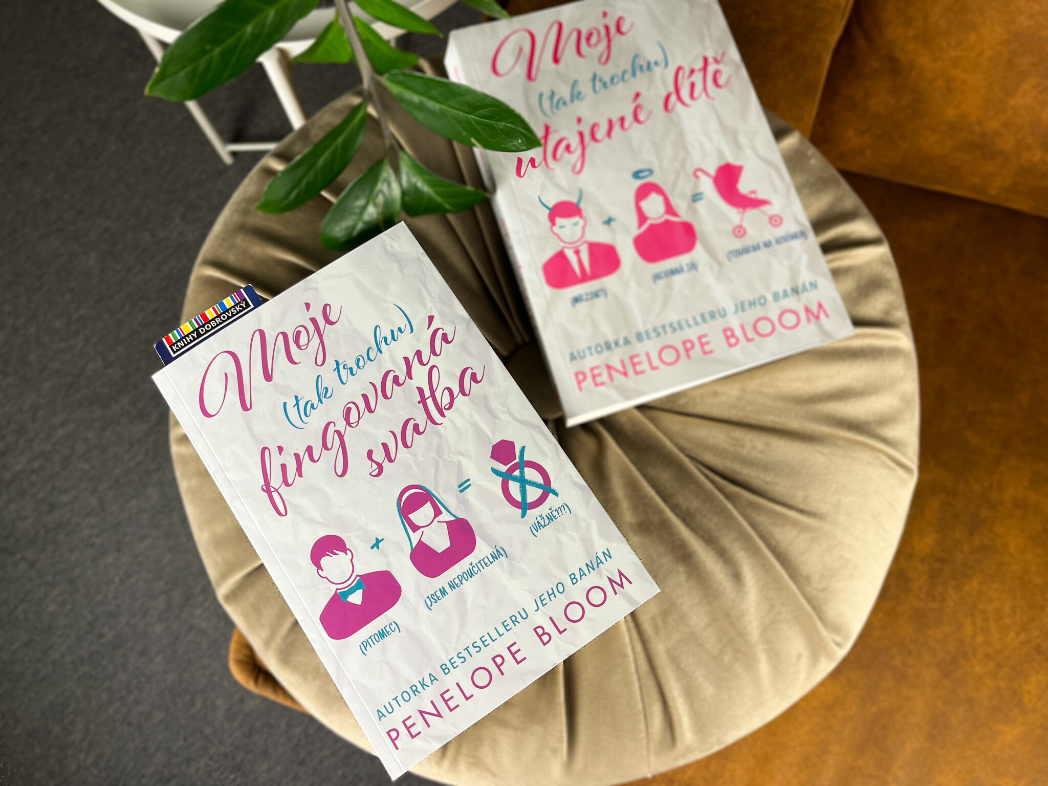 Moje-fingovana-svatba