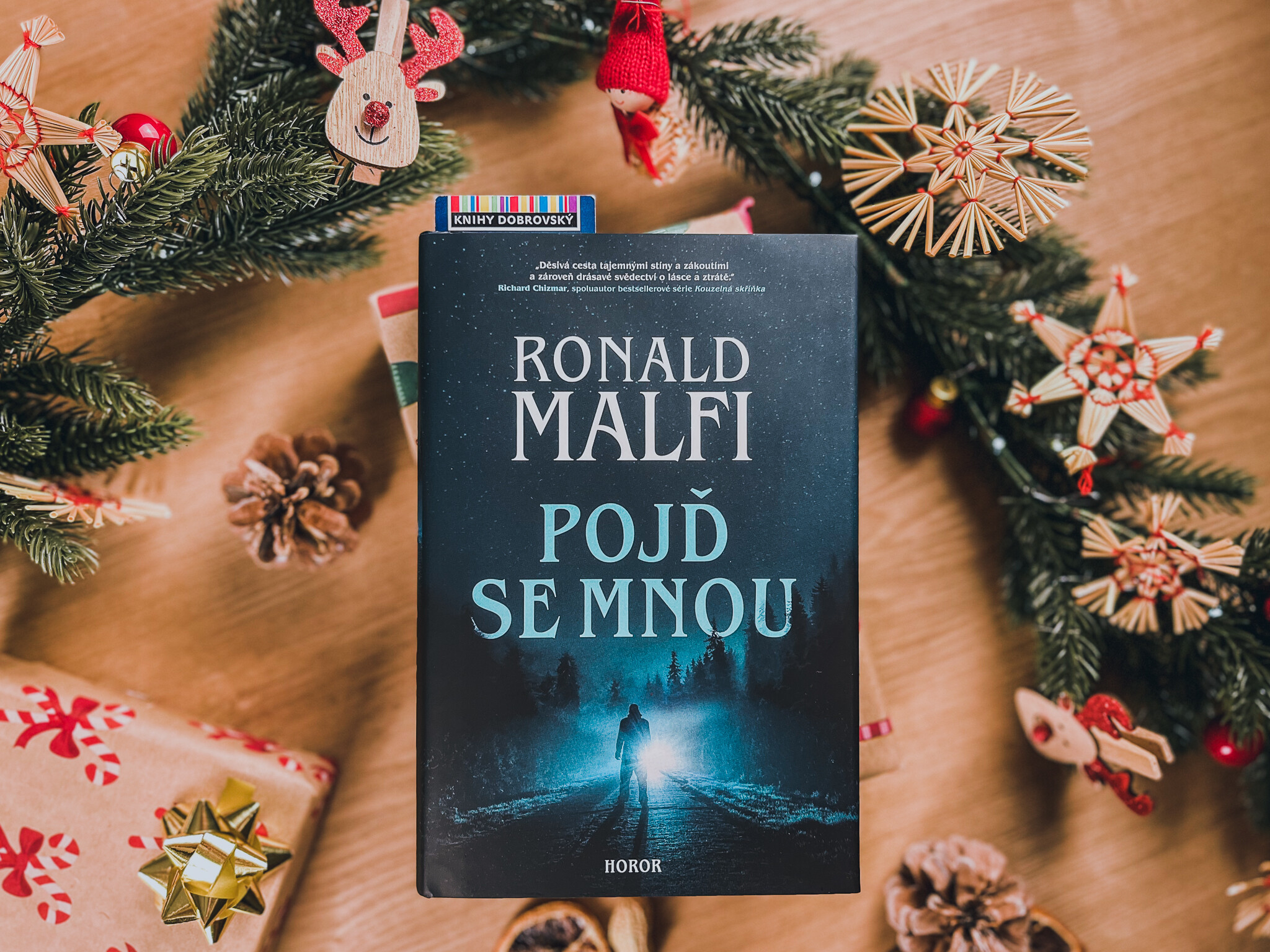 Pojď se mnou-recenze
