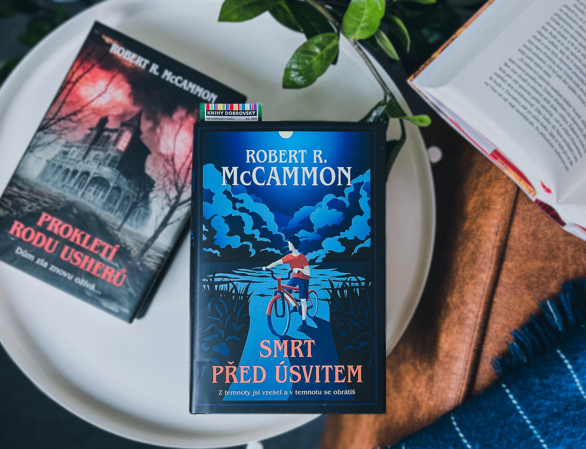 Smrt před úsvitem-recenze