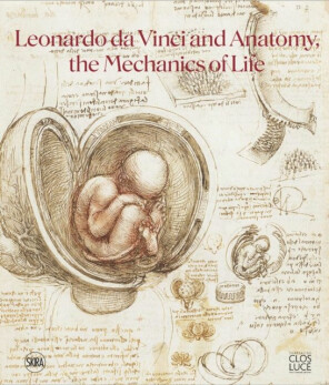 Leonardo da Vinci Drawings Masterpieces of Art - Susan Grange | Knihy ...