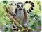 3D MAGNET-Lemur - 