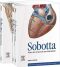 Sobotta, Atlas der Anatomie des Menschen - Friedrich Paulsen