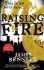 Raising Fire : A Ben Garston Novel - James Bennett