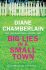 Big Lies in a Small Town - Diane Chamberlainová