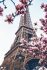Plakát Paris - Eiffel Tower - 