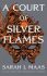 A Court of Silver Flames - Sarah J. Maasová