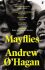 Mayflies - 