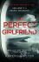 The Perfect Girlfriend - Karen Hamilton