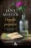 Orgullo y prejuicio - Jane Austenová