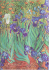 Zápisník Paperblanks - Van Gogh’s Irises - Midi linkovaný - 
