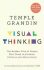 Visual Thinking : The Hidden Gifts of People Who Think in Pictures, Patterns and Abstractions - Grandin Temple