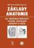 Základy anatomie 4b - Periferní nervový systém, smyslové orgány a kůže - Miloš Grim,Rastislav Druga