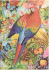 Zápisník Paperblanks - Tropical Garden - Midi nelinkovaný - 