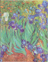 Zapisník Paperblanks - Van Gogh’s Irises - Ultra nelinkovaný - 