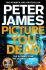 Picture You Dead - Peter James