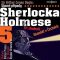 Slavné případy Sherlocka Holmese 5 - Sir Arthur Conan Doyle