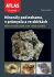 Minerály pod nohama, v průmyslu a ve sbírkách - Velebil Dalibor