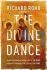 The Divine Dance : The Trinity and Your Transformation - Richard Rohr