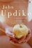 A Month of Sundays - John Updike