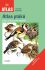 Atlas ptáků - Jan Dungel,Karel Hudec