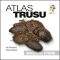 Atlas trusu - Iva Vilhumová, ...