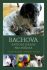 Bachova květová terapie pro zvířata - Grahamová Helen, ...
