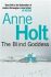 Blind Goddess - Anne Holt