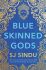 Blue-Skinned Gods - SJ Sindu