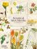 Botanical Sketchbooks - Helen Bynum,William Bynum