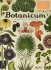 Botanicum (Welcome To The Museum) - Katie Scott