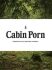 Cabin Porn : Inspiration for Your Quiet Place Somewhere - Zach Klein
