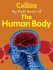 My First Book of the Human Body - Collins