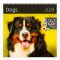 Kalendář nástěnný 2024 - Dogs - 