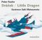 Dráček/Little Dragon - Petr J. Roche