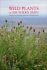 Field Guide to the Wild Flowers of the Western Mediterranean : A Guide to the Native Plants of Andalucia - Thorogood Chris
