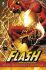 Flash: Znovuzrození - Geoff Johns,Ethan Van Sciver