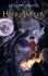 Harry Potter 7 - A dary smrti - Joanne K. Rowlingová