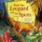 How The Leopard Got His Spots - Rosie Dickinsová