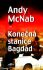 Konečná stanice Bagdád - Andy McNab