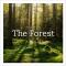 Life & Love of the Forest - Blackwell