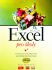 Microsoft Excel pro školy + CD - Šárka Blažíčková