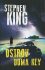 Ostrov Duma Key - Stephen King