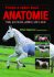 Pohyb a výkon koně Anatomie - Gillian Higginsová, ...