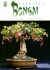 Pokojová bonsai - Jindřich Votýpka