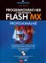 Programování her v Macromedia Flash MX + CD - Jobe Makar