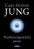 Psychoterapeutická praxe - Carl Gustav Jung