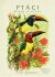 Ptáci – Barvy pralesa - Jan Dungel