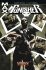 Punisher Max 8:  Vdovy - Garth Ennis,Medina Lan