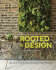 Rooted in Design: Sprout Home's Guide to Creative Indoor Planting - Tara Heibel